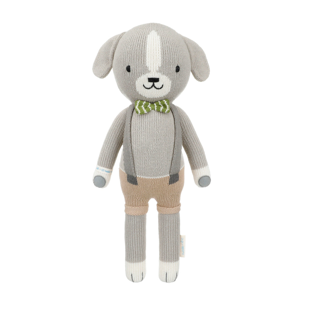 Noah the dog