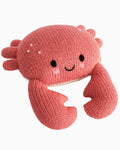 Baby crab