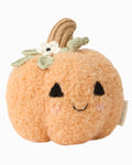 Baby pumpkin (moonflower)