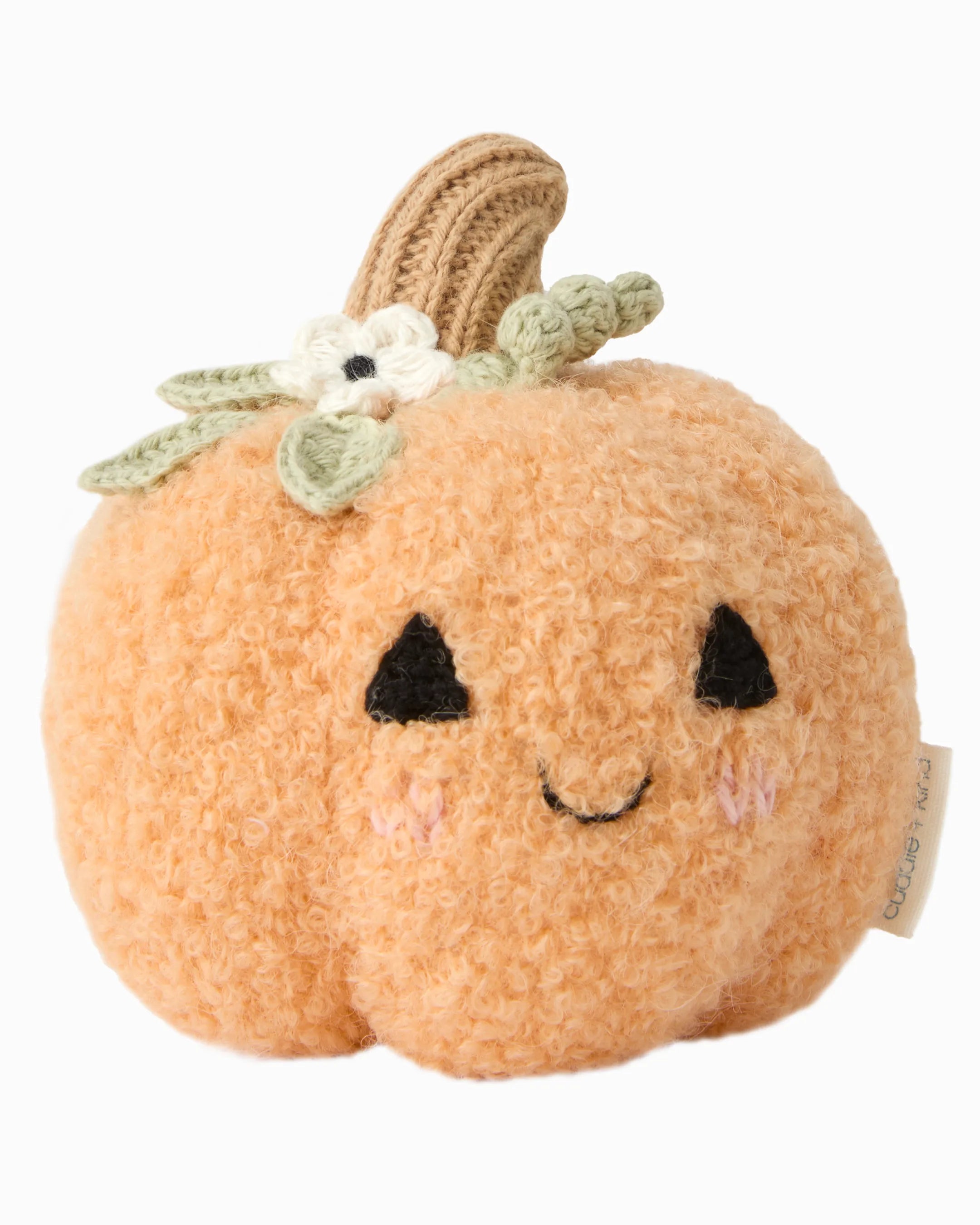 Baby pumpkin (moonflower)