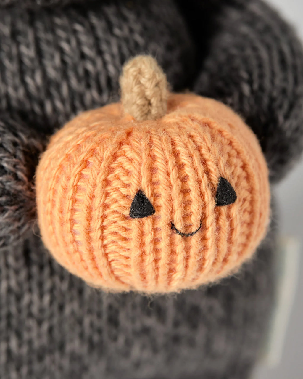 Baby kitten (with pumpkin)