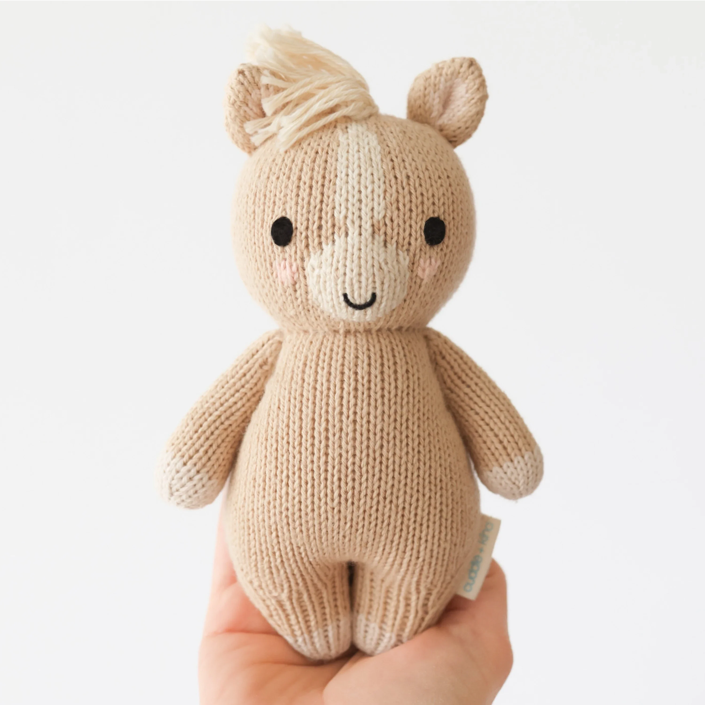 Baby pony