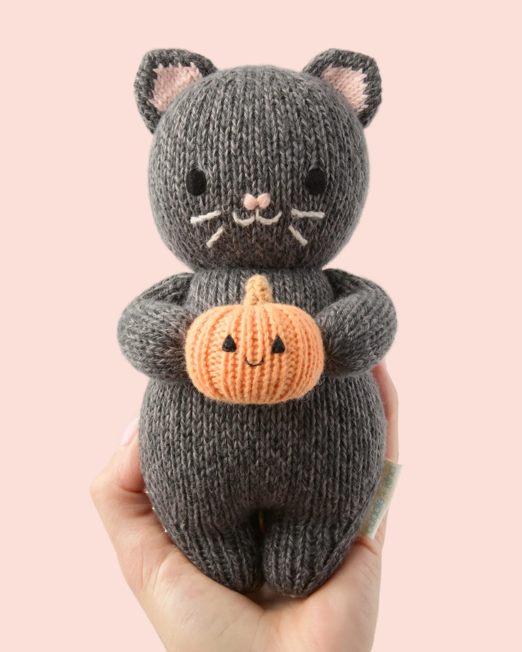 Baby kitten (with pumpkin)