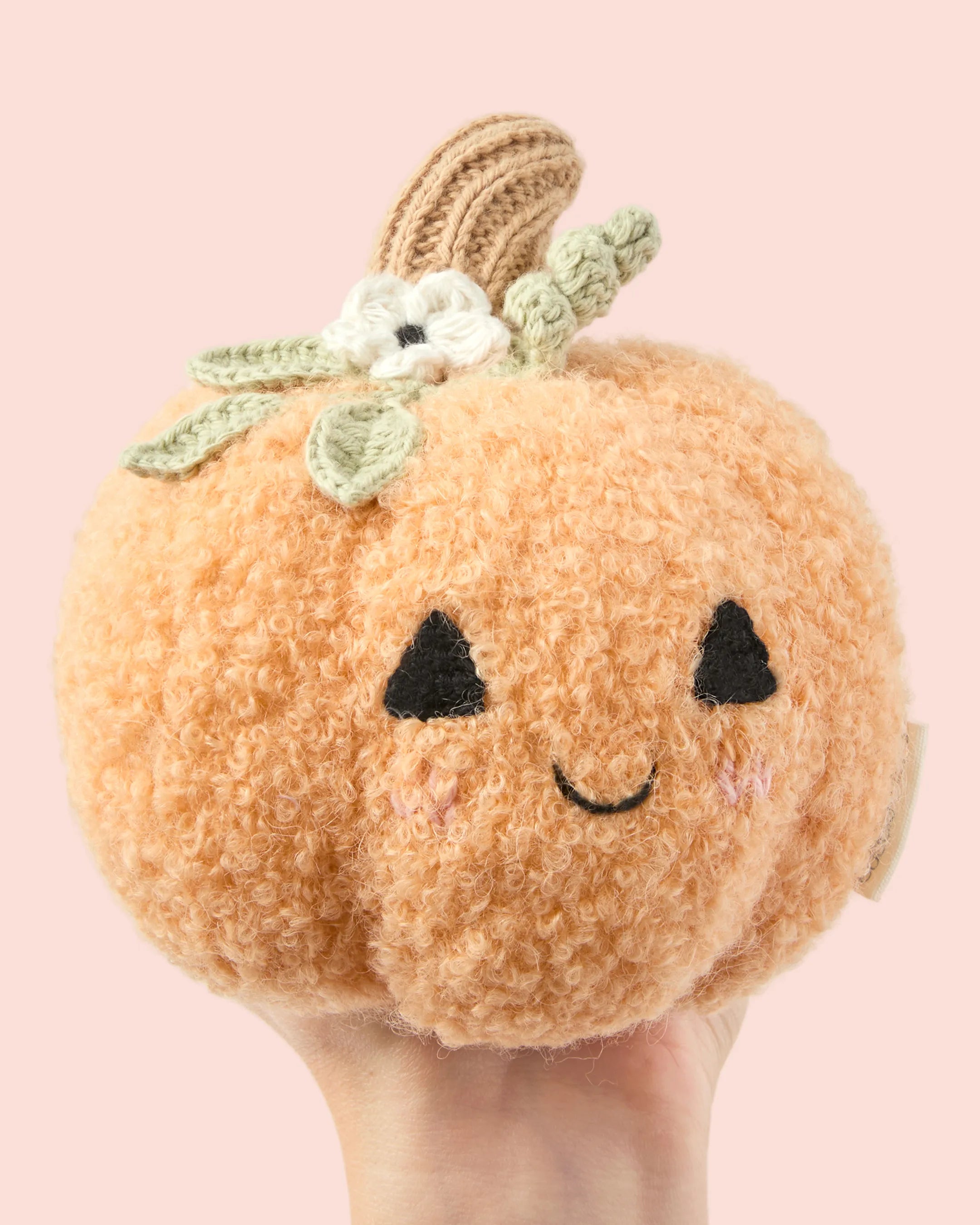 Baby pumpkin (moonflower)