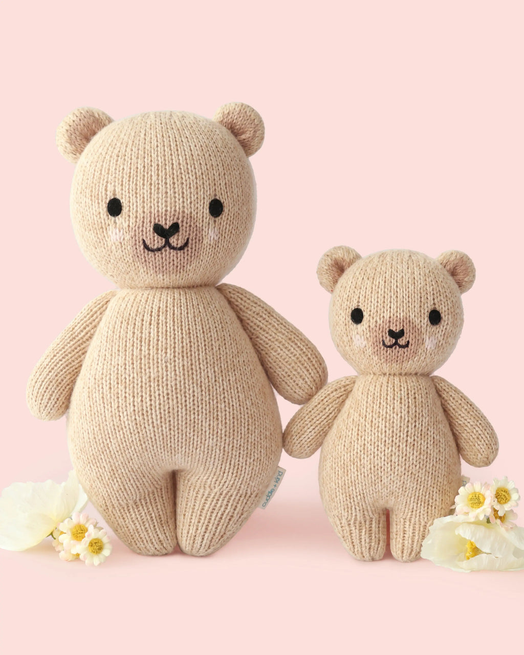Big baby honey bear