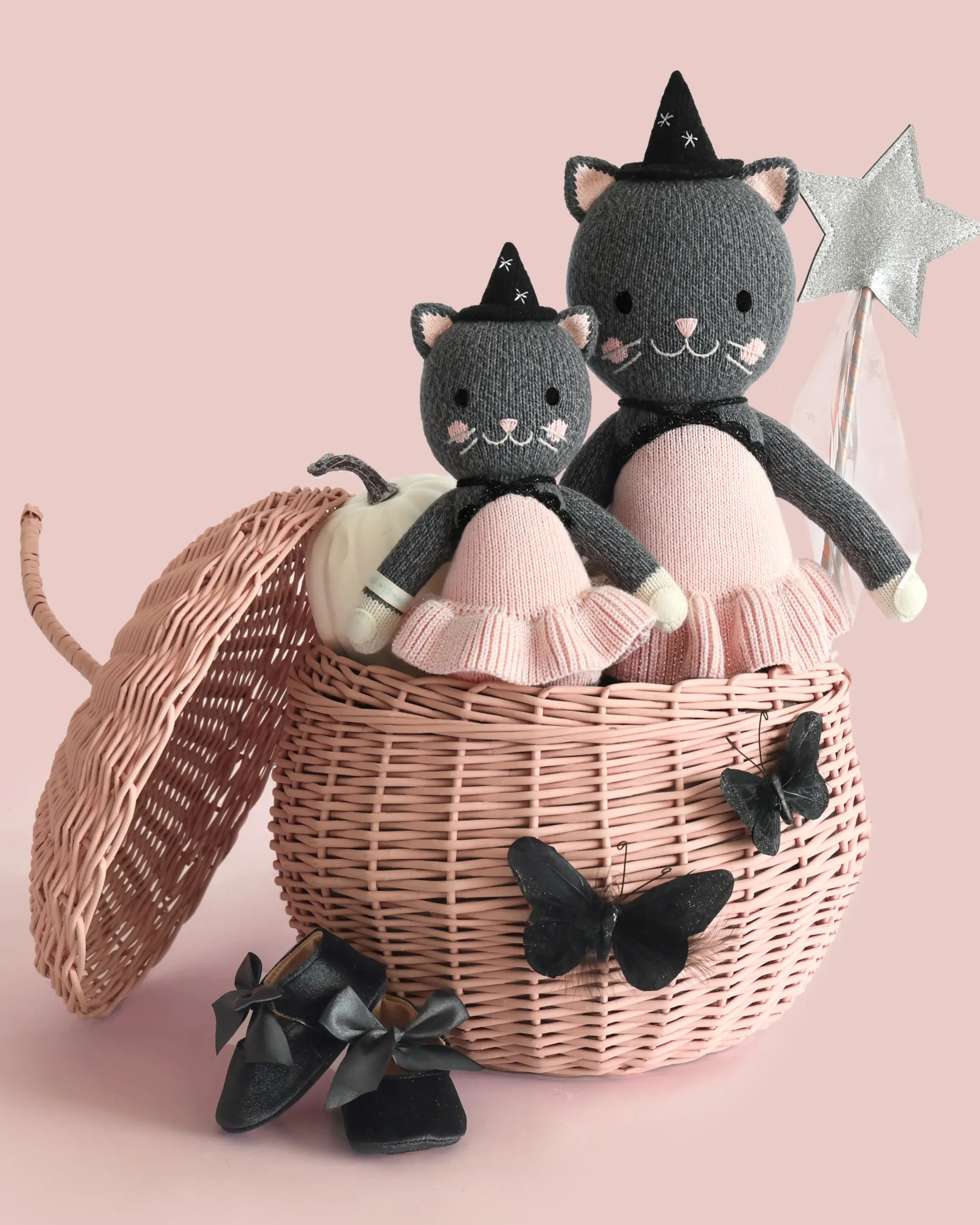 Celeste the kitten