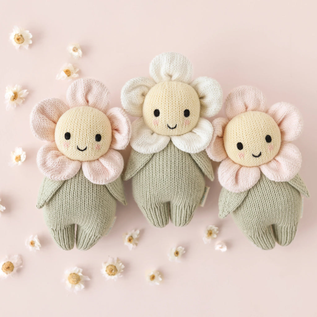 Baby daisy (blush pink)