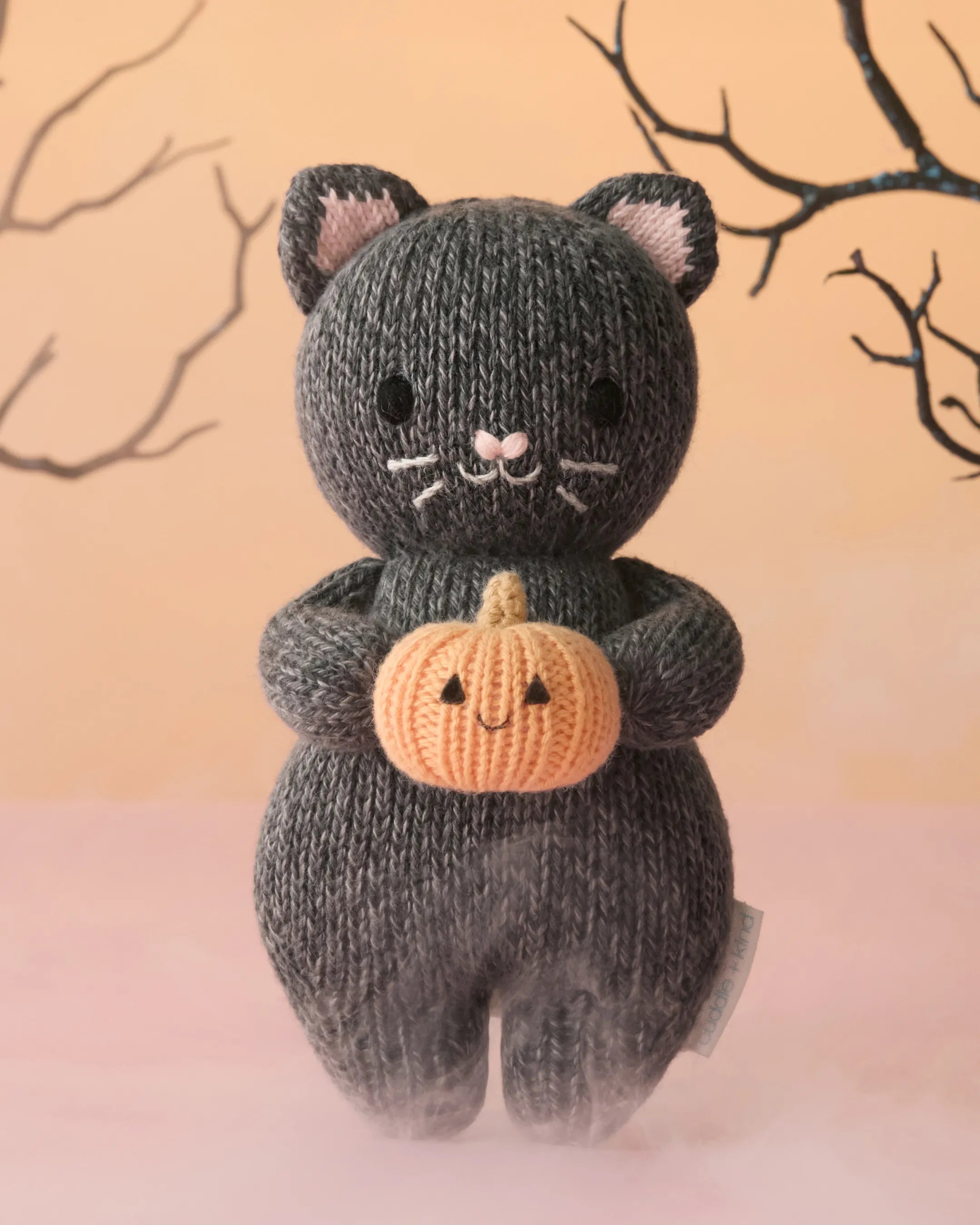 Baby kitten (with pumpkin)