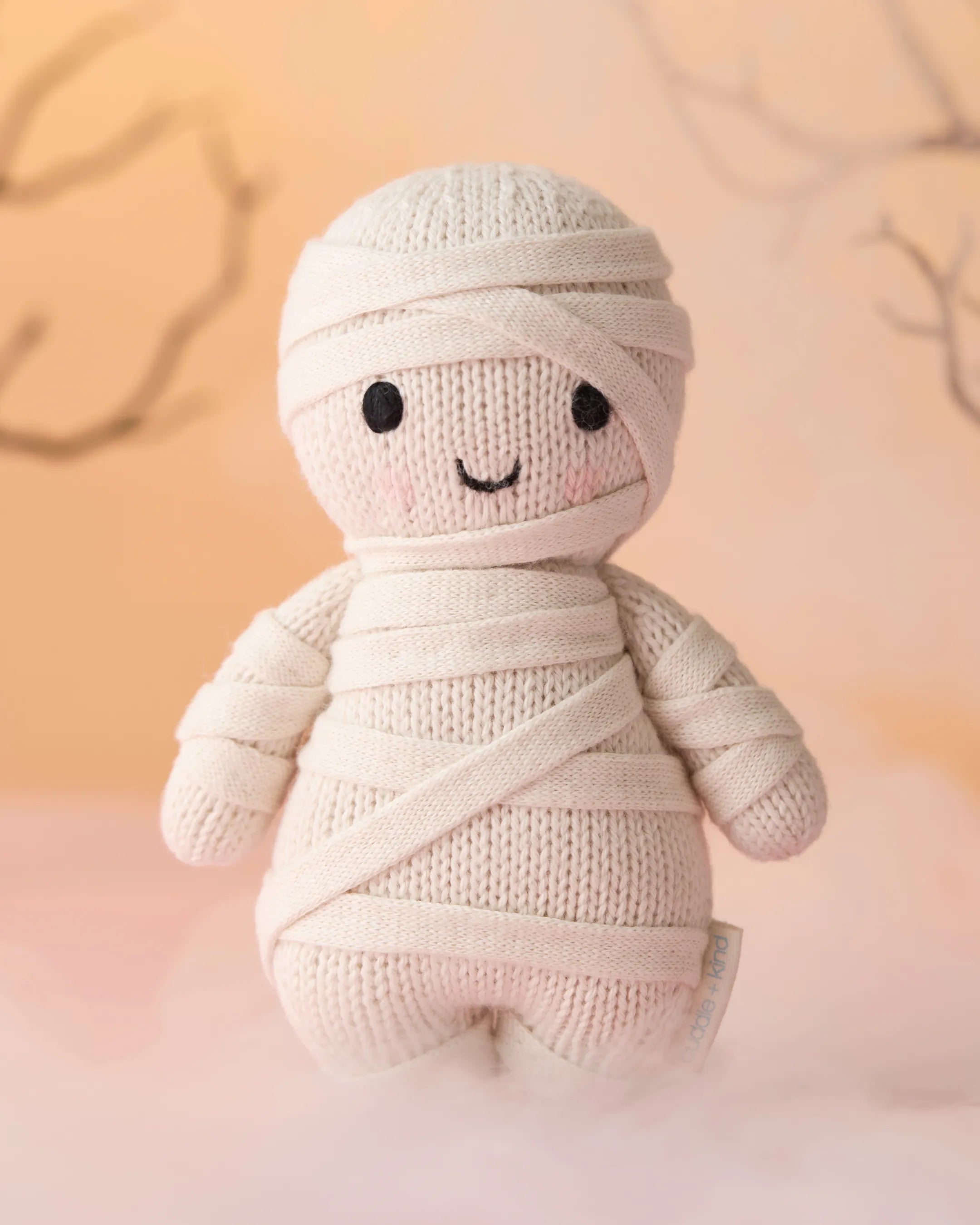Baby mummy