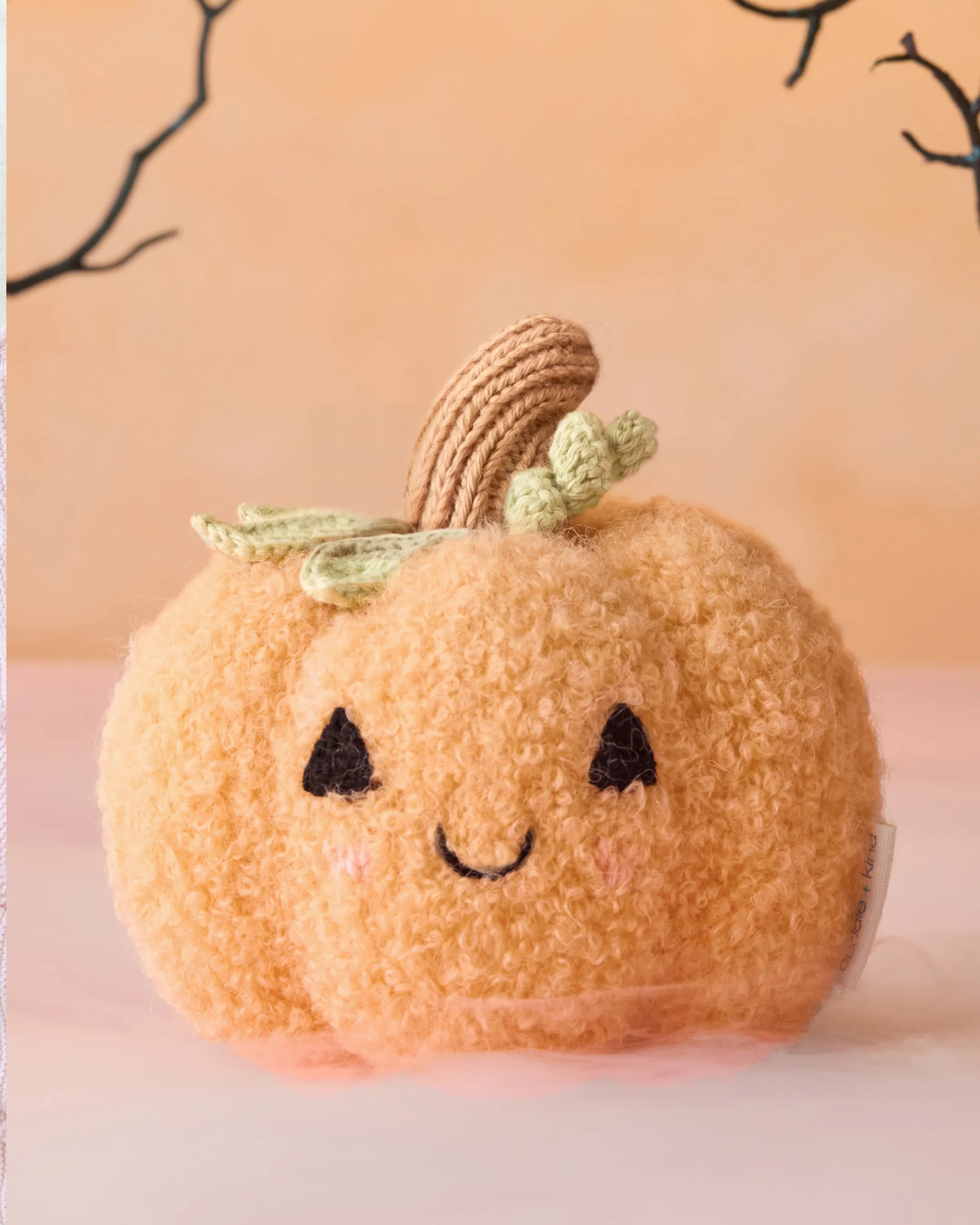 Baby pumpkin