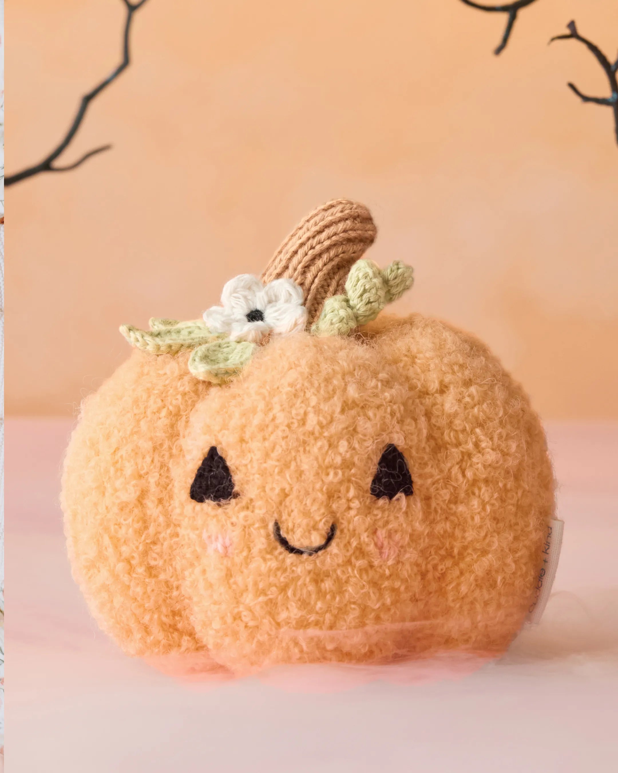 Baby pumpkin (moonflower)