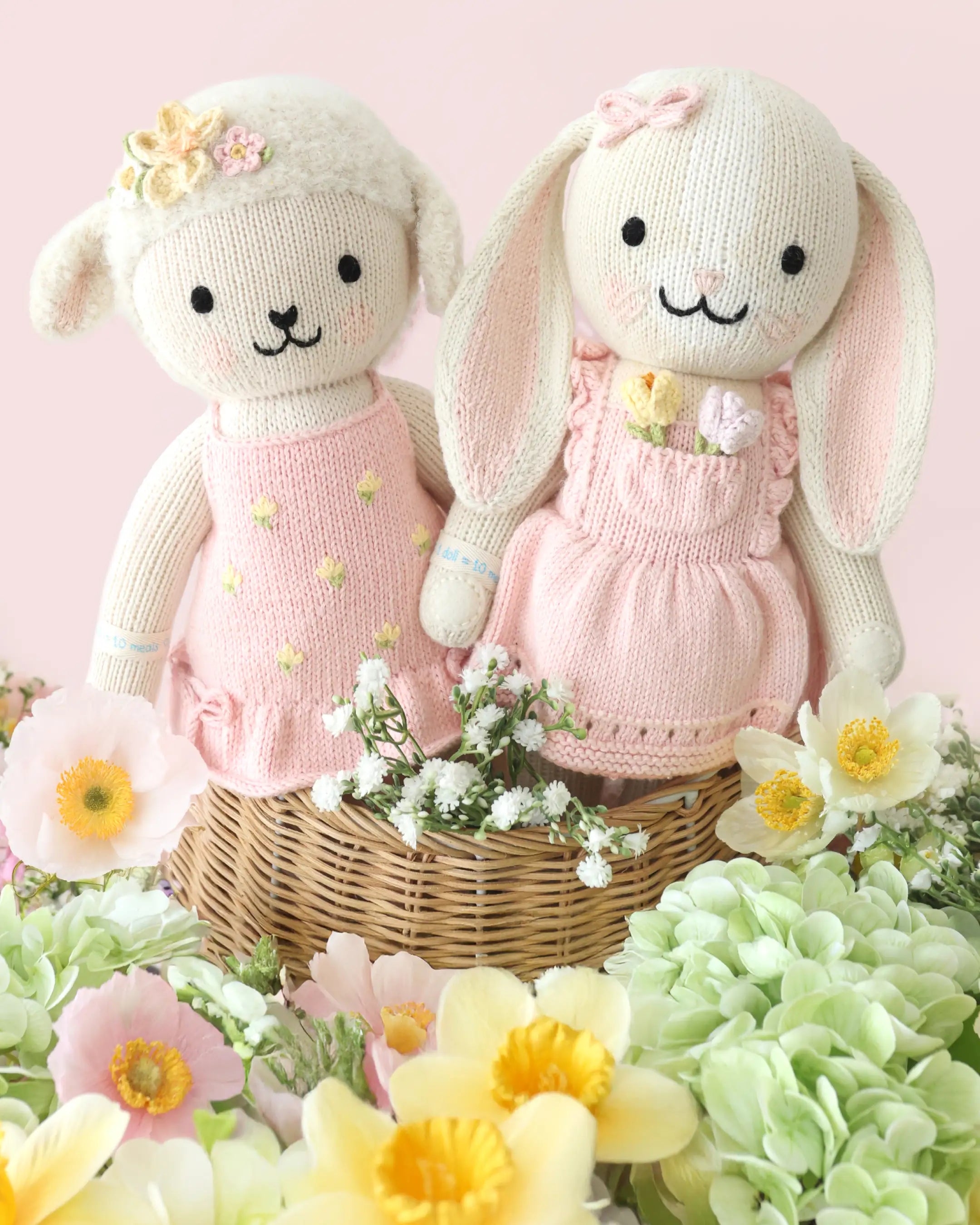 Eleanor the lamb
