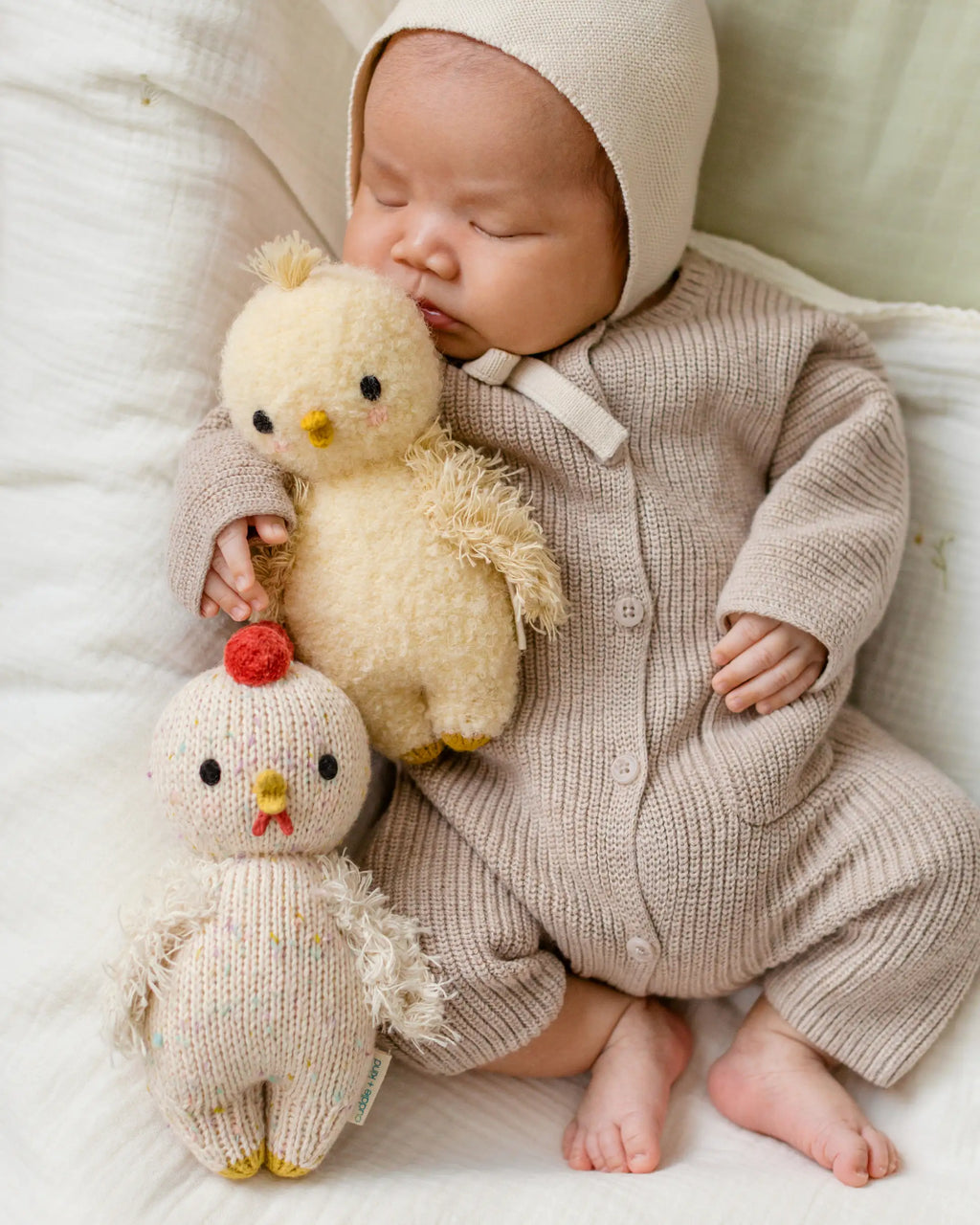 Baby chicken