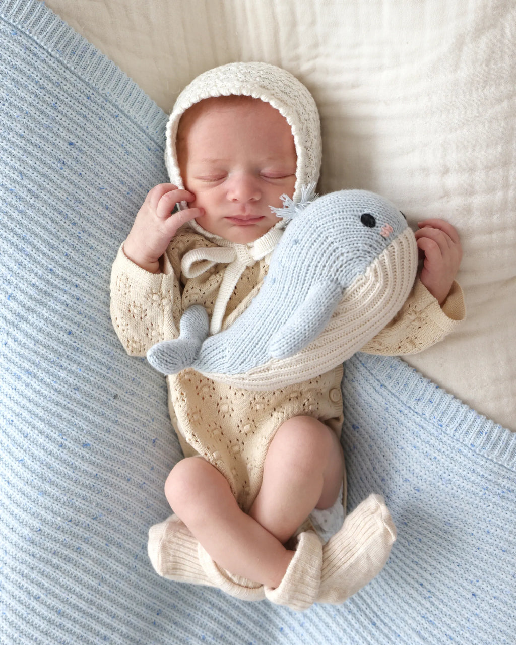 Baby whale
