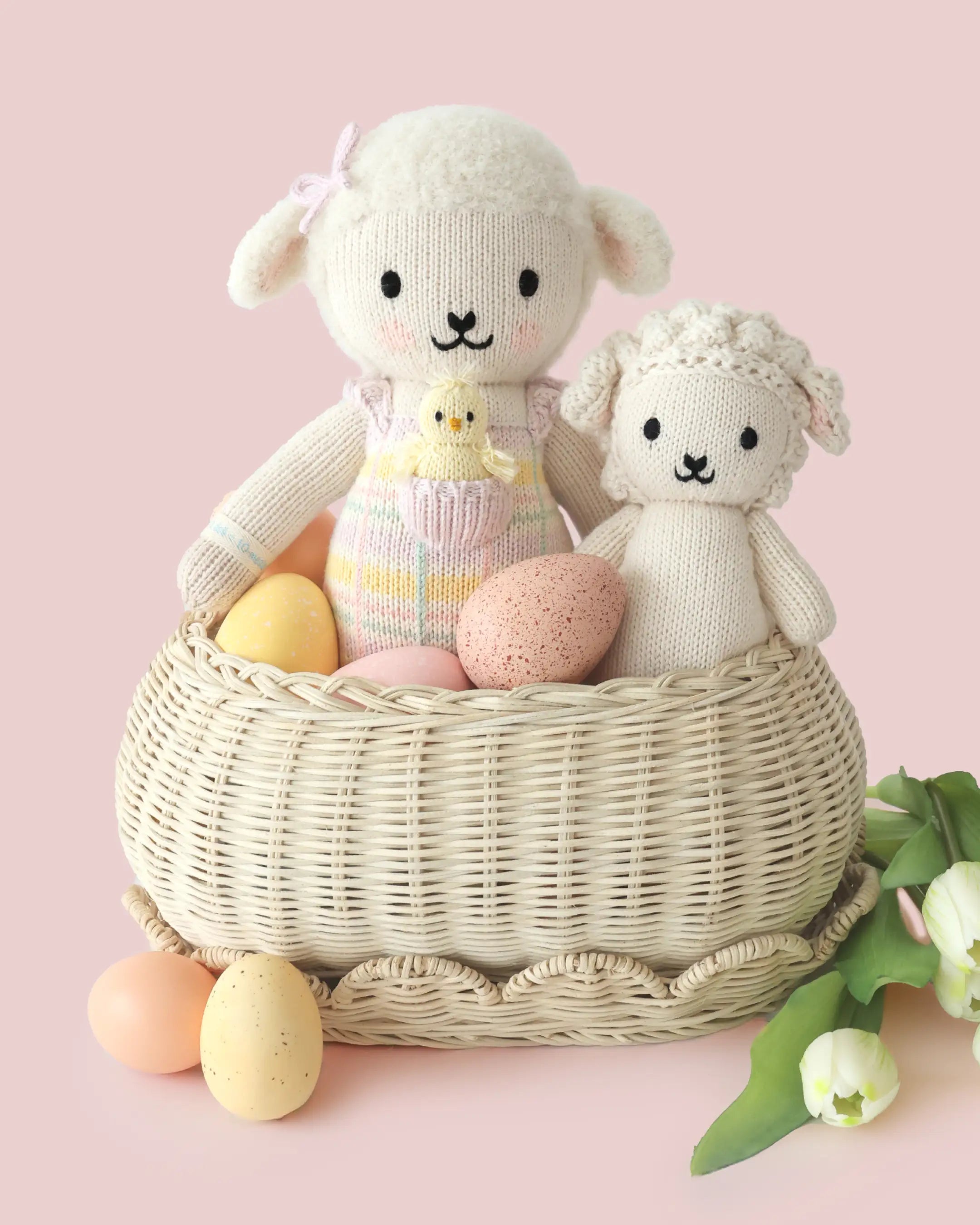 Mabel the lamb