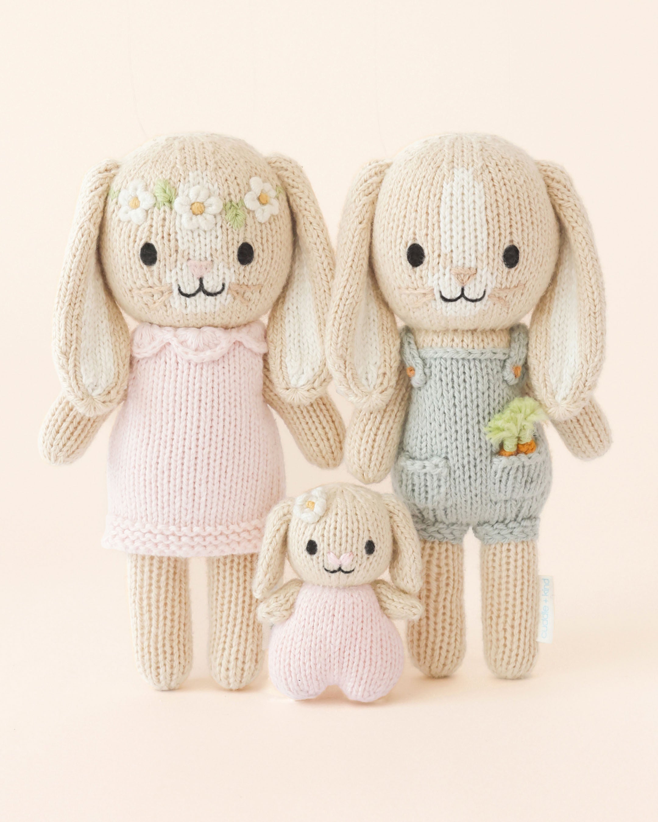 Tiny Henry the bunny