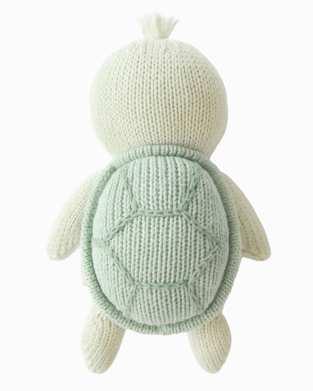 Baby sea turtle (kelp green)