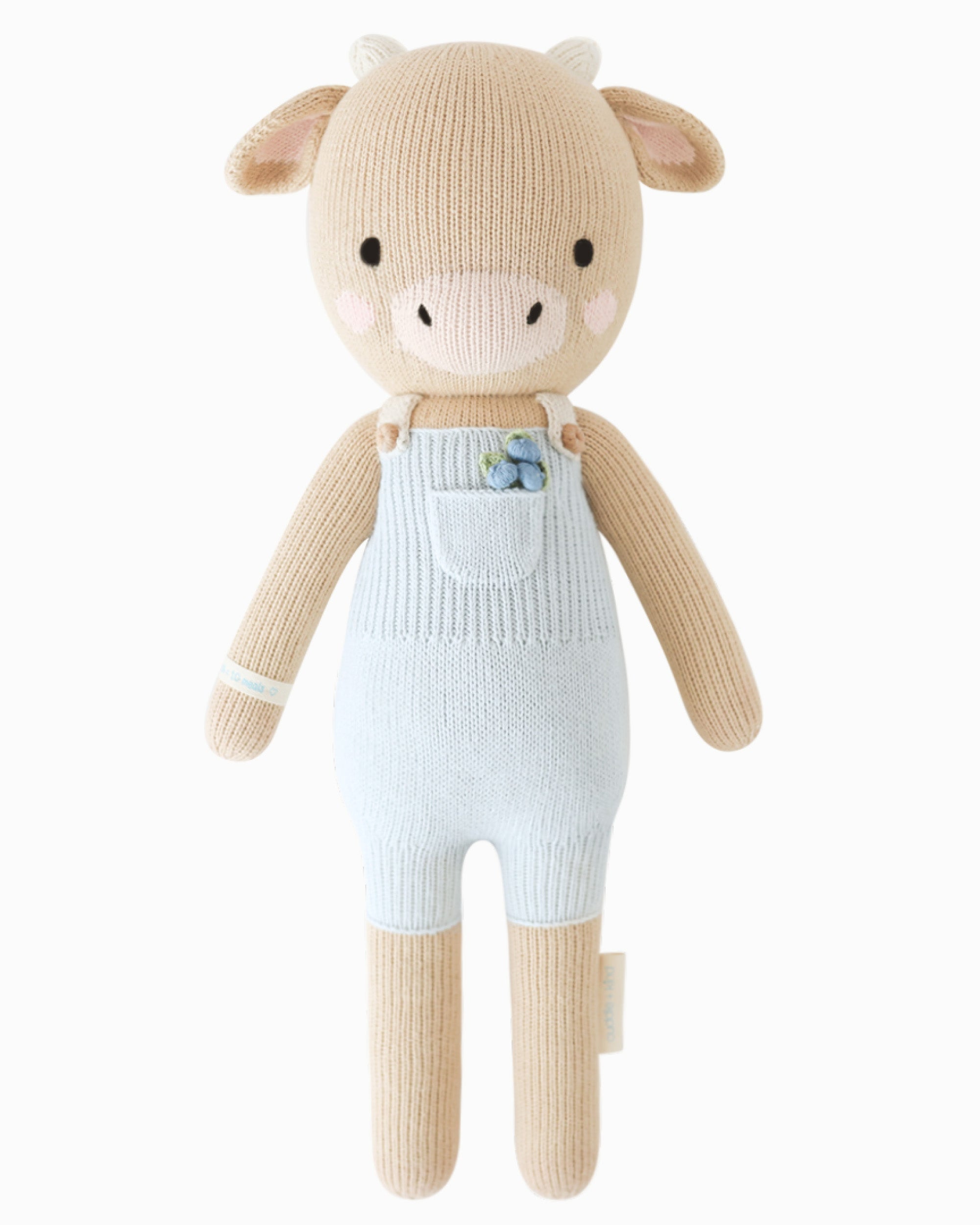 Asher the cow