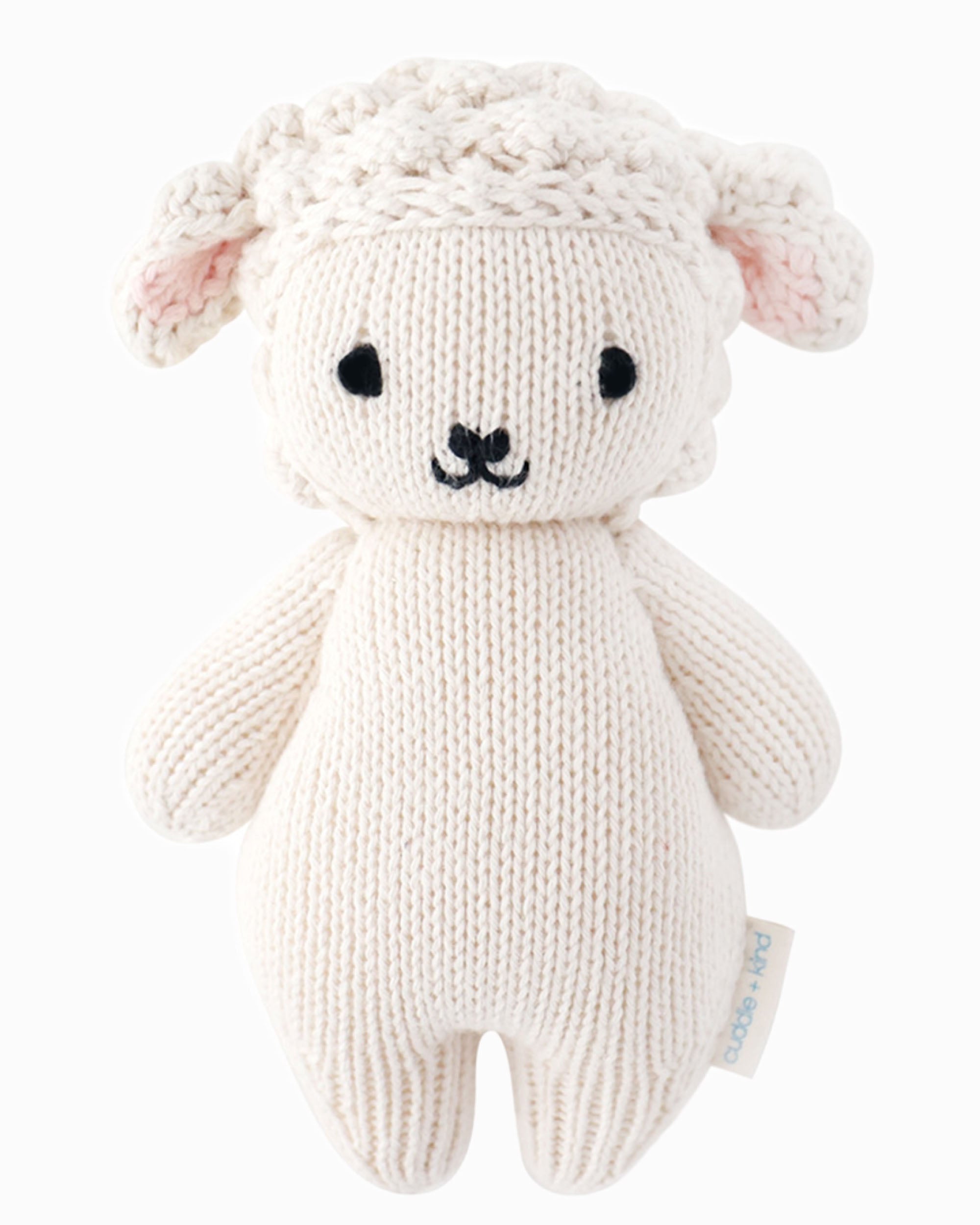 Baby lamb