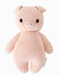 Baby piglet