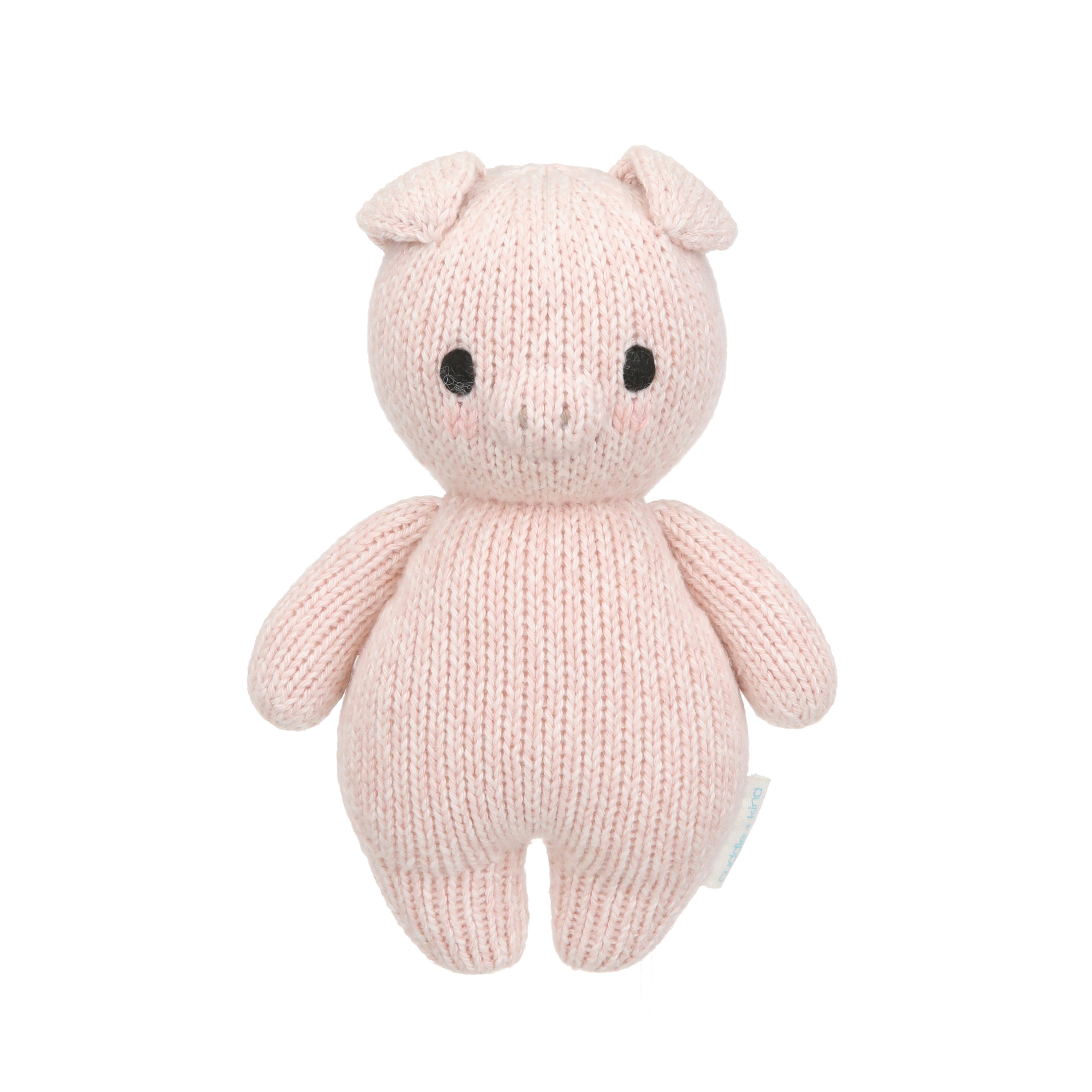 Baby piglet