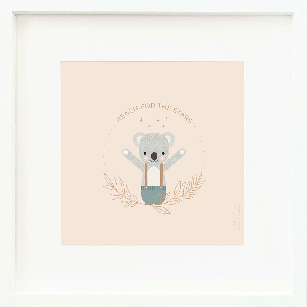 Quinn the koala